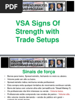 VSA Signs of Strength - Gavin-Convertido - En.pt