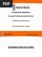 R.M. Esquemas Moleculares