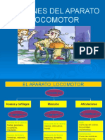 Lesiones Sistema Locomotor