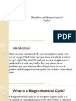 Biogeochemical Cycle