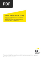 Model Public Sector Group - PULSAR - Disc