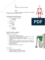 Anatomofisiologia - Esqueleto Apendicular e Membro Superior