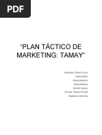 Plan Táctico de Marketing Botillería