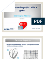 Eletrocardiografia: Cão e Gato-: Semiologia Médica I