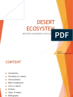 Desert Ecosystem