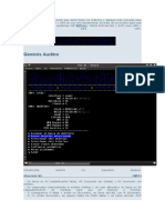 Geminis Auditor