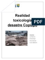 Trabajo-De-Toxicidad Numero 2