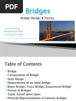 Building-Bridges