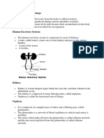 Excretion Class 10