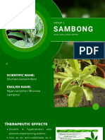 Sambong Group 2