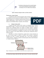 Técnica para o Ajuste Oclusal