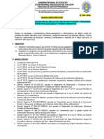 Directiva-Finalización 2022 DGP Drea - Final Final