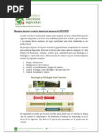 Manejos de Post Cosecha TempranaTemp 22-23