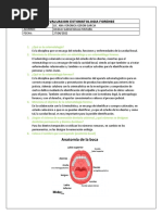 Evaluacion Estomatologia Forense