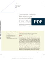 M5 Photoperiodic Flowering - Time Measurement in Leaves