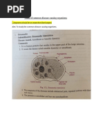 Disease Causing Organisms