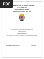 Informe Final Practica Supervisada