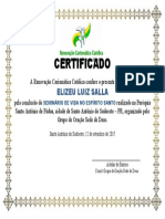 Certificado Sves