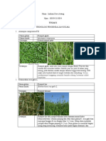Tugas 1 Teknologi Perlindungan Gulma