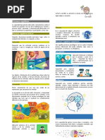 Anotaciones Virtuales (U1) Evaluación de Procesos Cognitivos