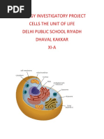 BIOLOGY INVESTIGATORY PROJECT (Cell The Unit of Life)