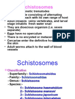 03 Schistosomes