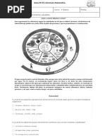 Guía N°7 Ciencias Naturales