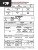 RNP - Vista de Datos Completos