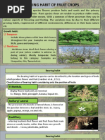 Bearing Habit of Fruit Crops