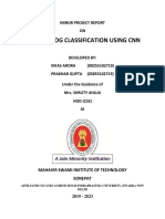 Cat and Dog Classification Using CNN Fin