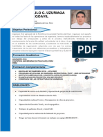 Curriculum Vitae Funcional Mario - Uz