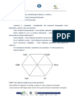 5 - Activitate Sincron Hexagonul Clasei Diferentiate