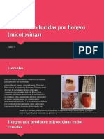 Cereales, Toxinas Producidas Por Hongos (Micotoxinas), Ácido Fíbico