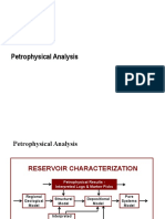 Petrophysical Analysis