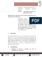 Interpongo Recurso de Apelación de Auto - Sucesion de Toribio Julca Alvarado