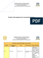 Cuadro de Esquema Básico de Vacunación