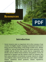 Forest Resources