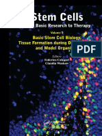 Buku Stem Cells From Basic Research To Therapy