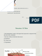 Unit-II Skin Anatomy and Physiology