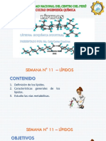 9-Clase-Lípidos 2022