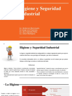 Higiene y Seguridad Industrial