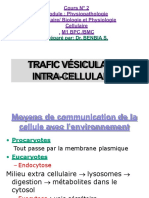 Trafic Intracellulaire Modifiée