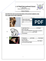 GRADE 3-Adaptation - Worksheet