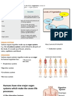 2.3 Organ Systems