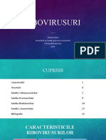 Ribovirusuri