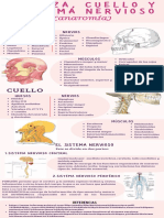 T4 - Estructura y Función Humana 1