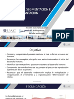 2.fecundacion, Segmentacion e Implantacion