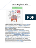 Aparato Respiratorio