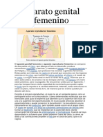 Aparato Genital Femenino