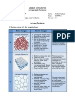 LKPD BIO-Jaringan Tumbuhan